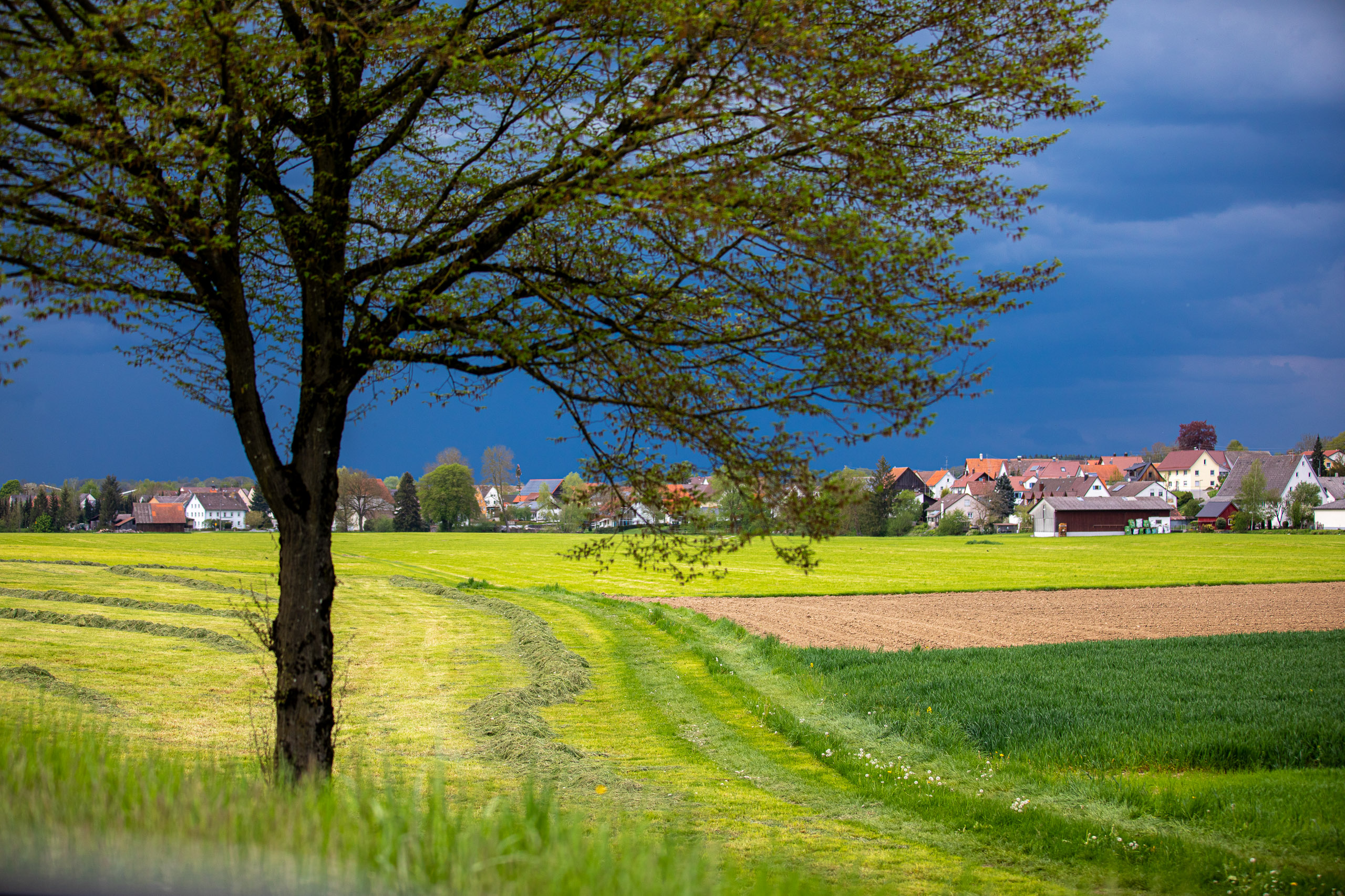 20230507154527 RD4 4002